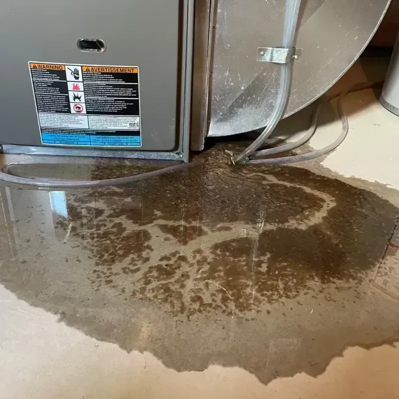 Appliance Leak Cleanup in Crowley County, CO